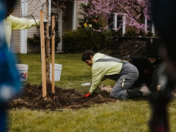 Sunny Forecast for Gardening