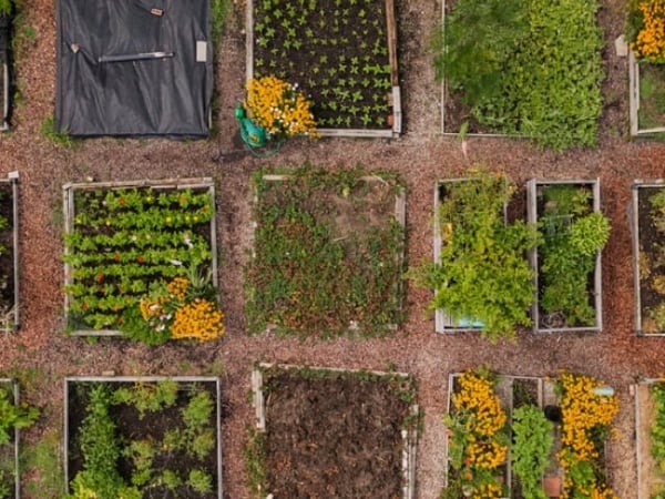 Gardening is Good for You