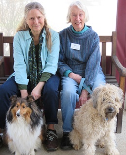 Healing Power of Pets