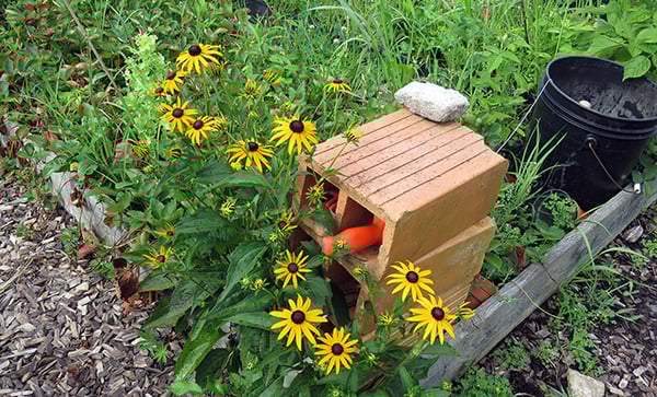 Gardening: Good for Body and Soul