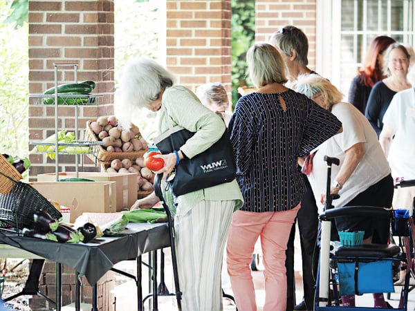 Celebrating 20 Years of the Oberlin Farmers Market