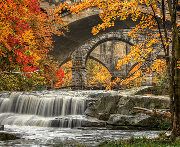 Your 2019 Ohio Fall Foliage Guide